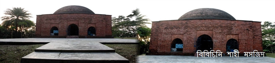 বিবিচিনি মসজিদ