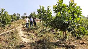 প্রকল্পের গুরুত্বপূর্ণ কার্যক্রম