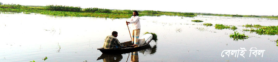 বেলাই বিল