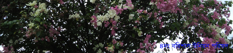 ৪নং বরিশাল ইউনিয়নের ব্যানার