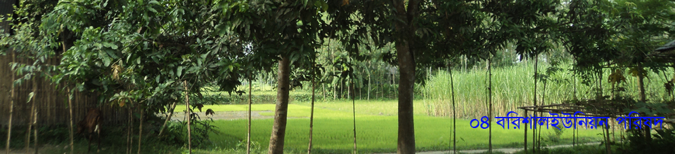 ৪নং বরিশাল ইউনিয়ন পরিষদ