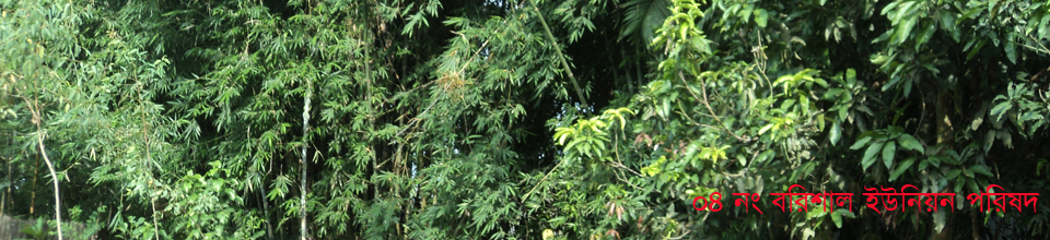 ৪নং বরিশাল ইউনিয়ন পরিষদ