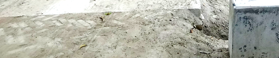 ওয়ার্ড সভা 2