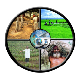 সমাজসেবা