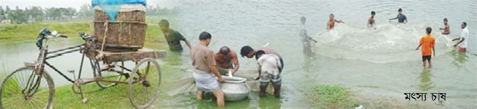 মাছ ধরার দৃশ্য