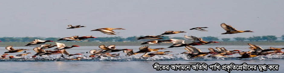 হাকালুকি