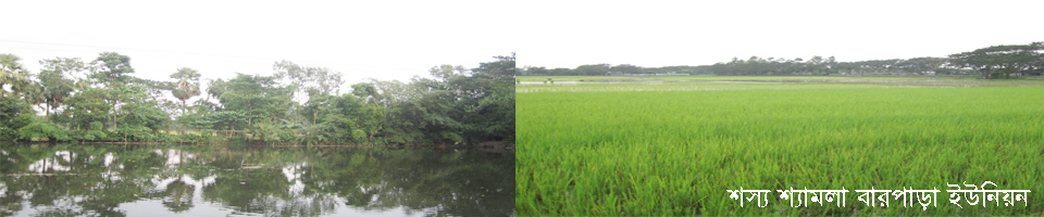শস্য-শ্যমলা বারপাড়া ইউনিয়ন