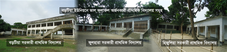 বড়টিয়া ইউনিয়নে ভাল ফলাফল অর্জনকারী প্রাথমিক বিদ্যালয় সমূহ
