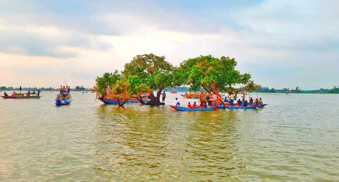 চাপড়াবিল সিদ্ধেশ্বরী গাছ।