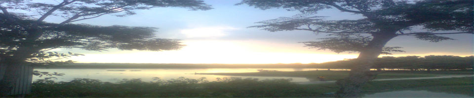 গ্রামের প্রাকৃতিক দৃশ্য