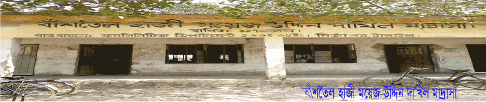বাঁশতৈল হাজী ময়েজ উদ্দিন দাখিল মাদ্রাসা