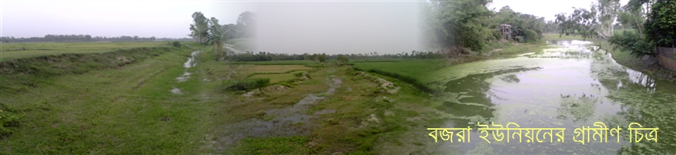 বজরা ইউনিয়নের গ্রামীণ চিত্র