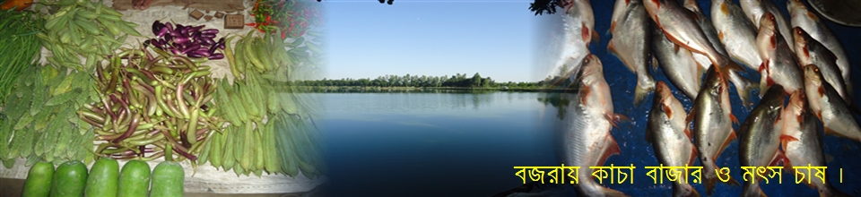 বজরা বাজারের মৎস চাষ