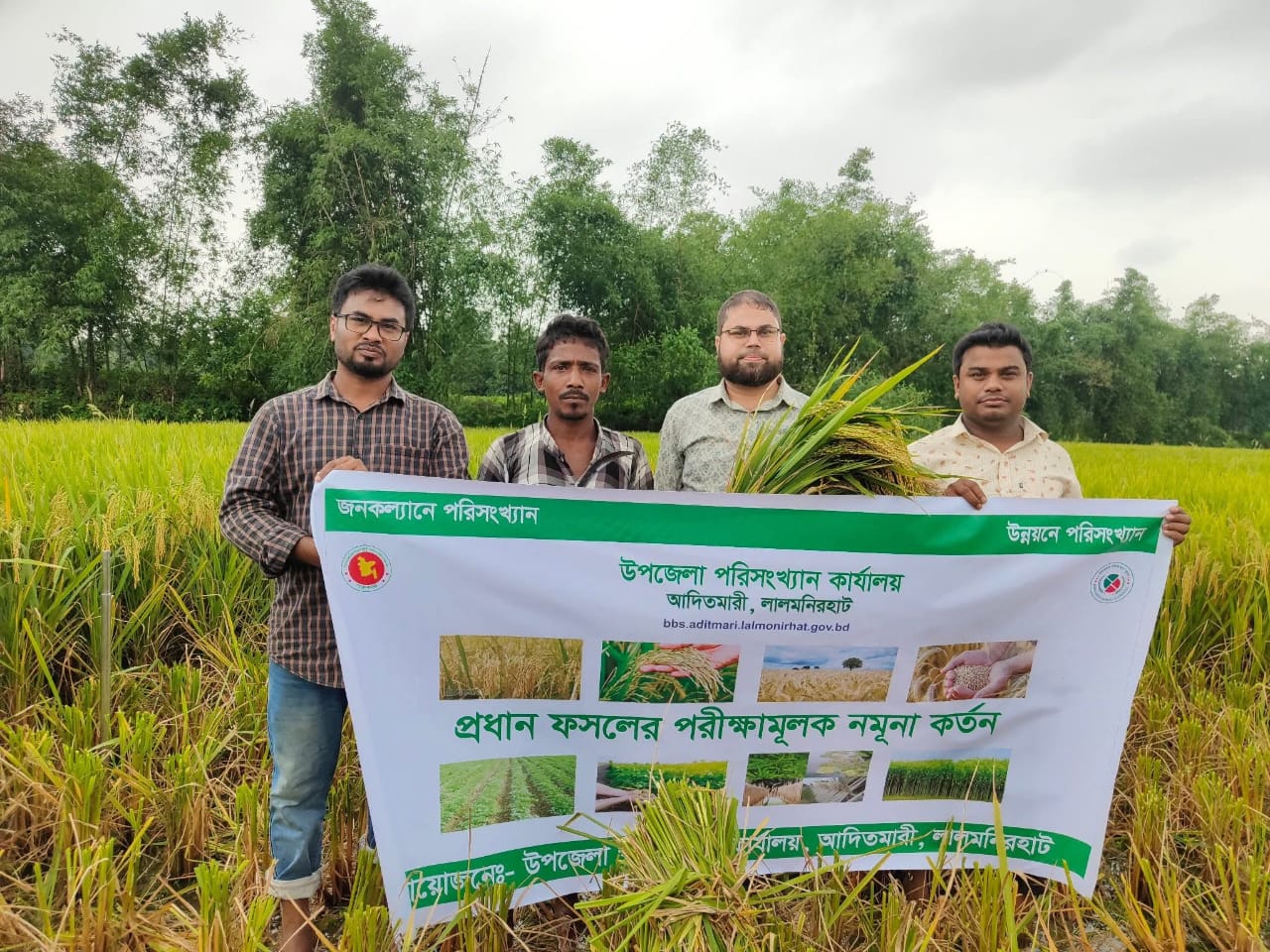 নমূনা ফসল কর্তন 25