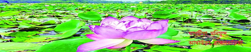 ঘাগটিয়া