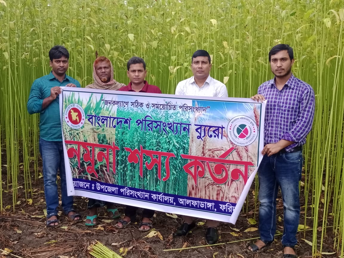 নমুনা শস্য কর্তন