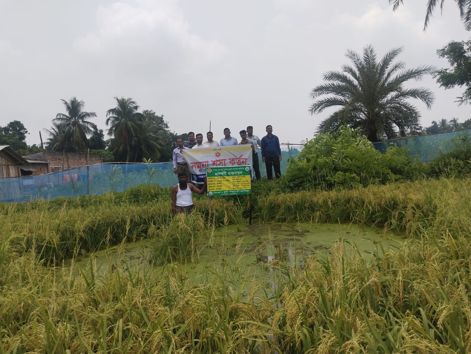 কততাকবি