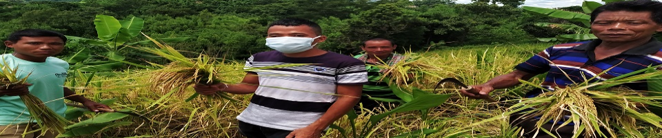 নমূনা শস্য কর্তন ছবি