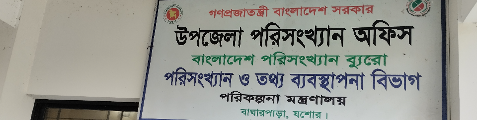 বাঘারপাড়া