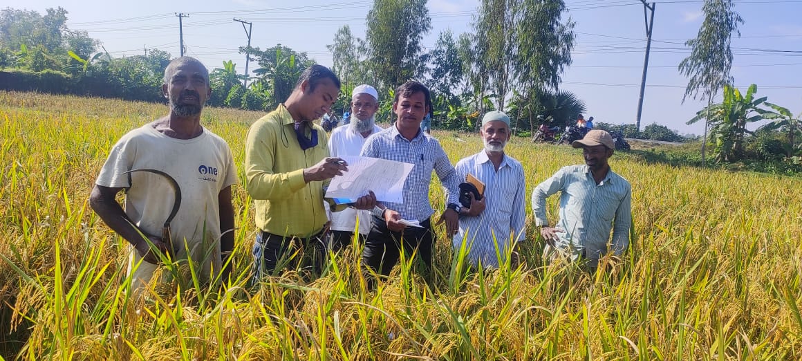 ফসল কর্তন