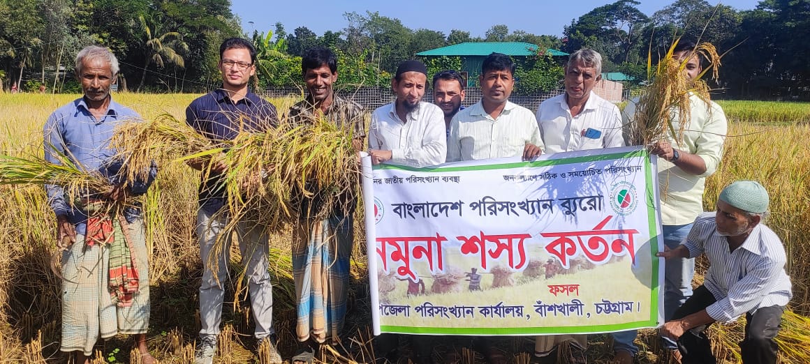 নমুনা শস্য কর্তন