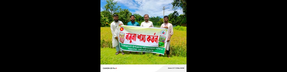 নমুনা শস্য কর্তন