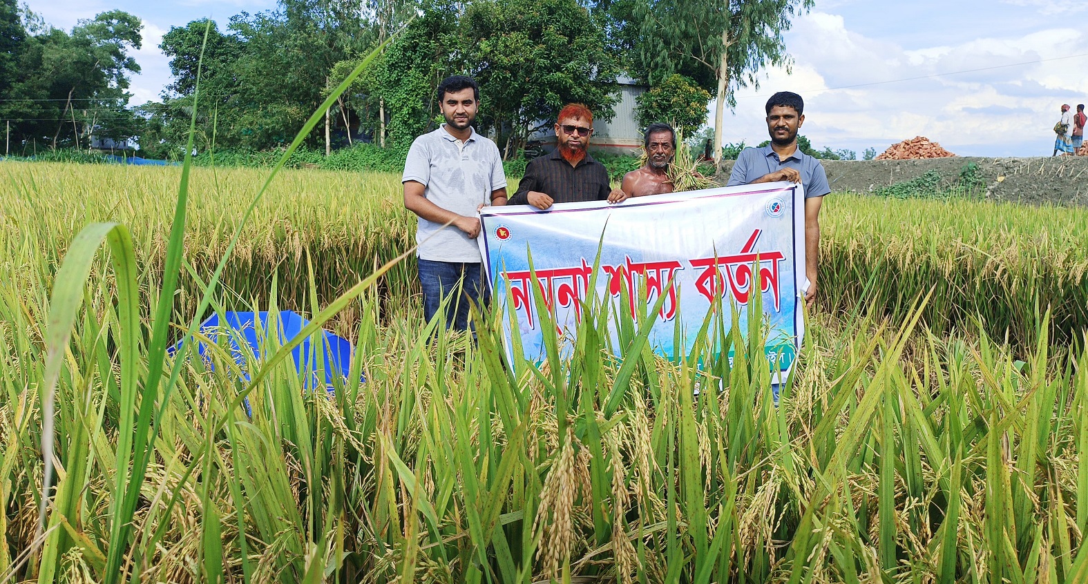 বোরো ফসলের নমুনা কর্তন-২০২৫