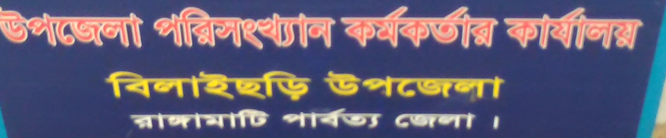 উপজেলা অফিস