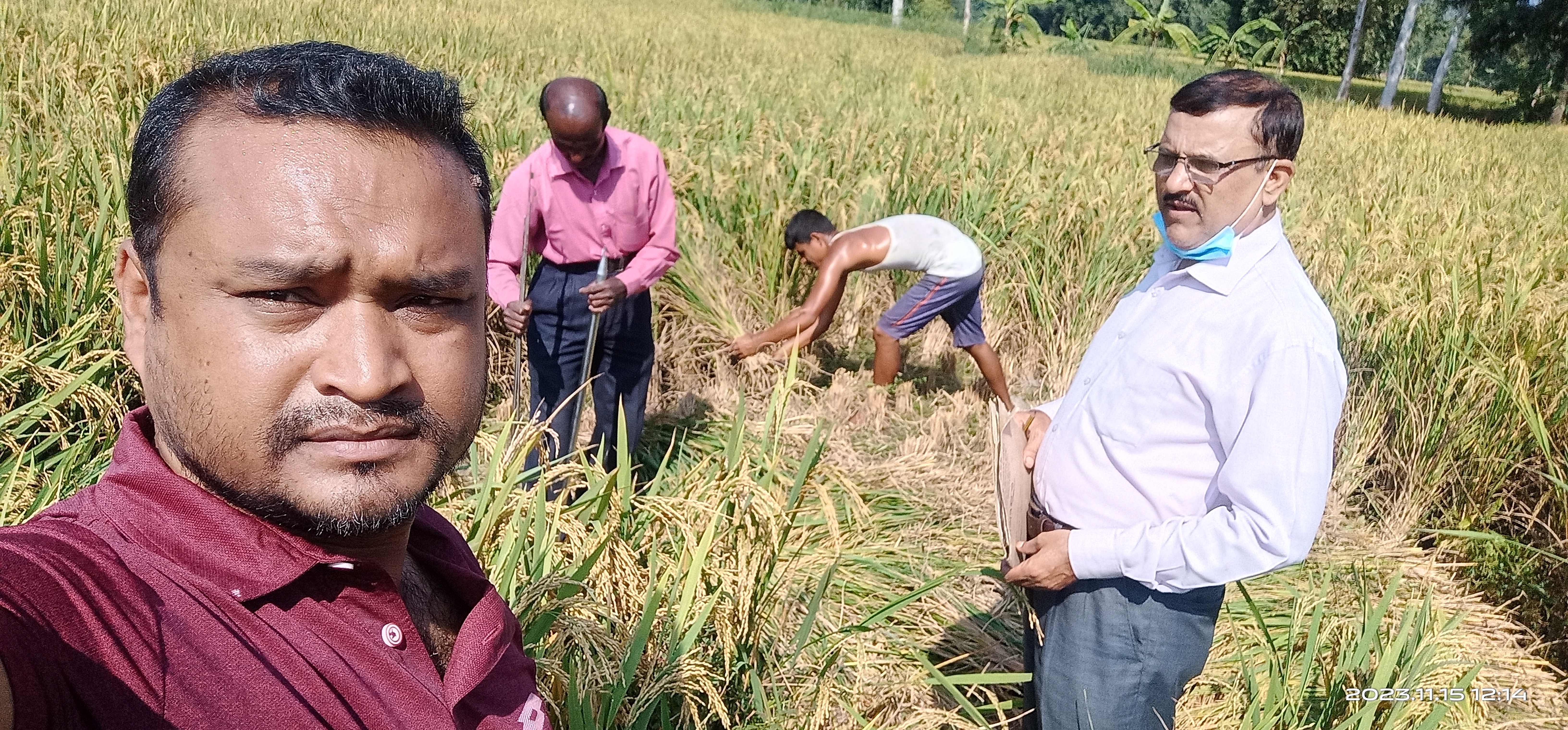 কাটিং এর ছবি