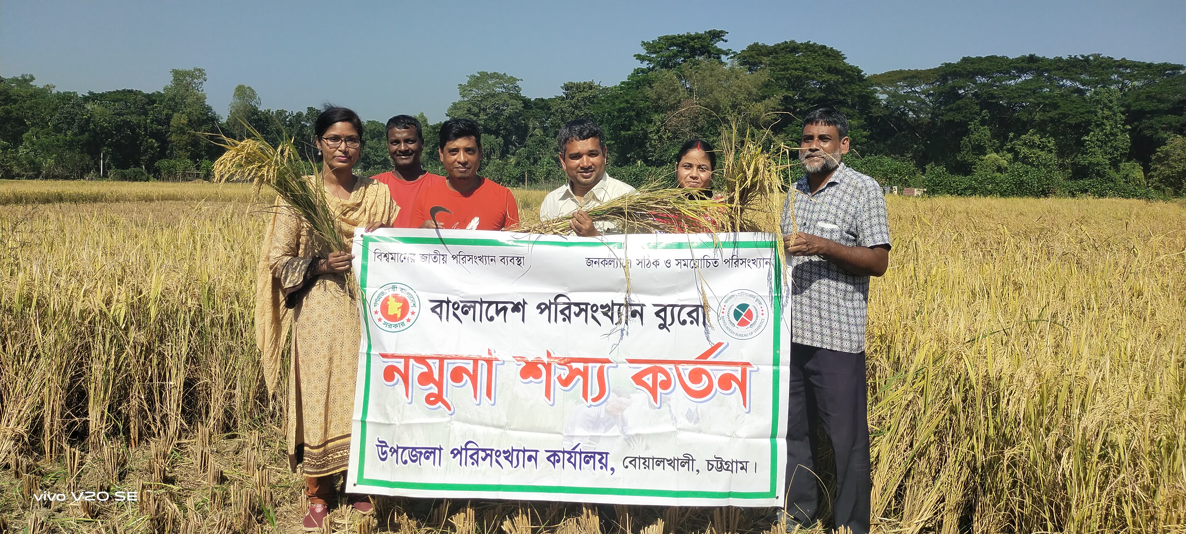 আমন কর্তন