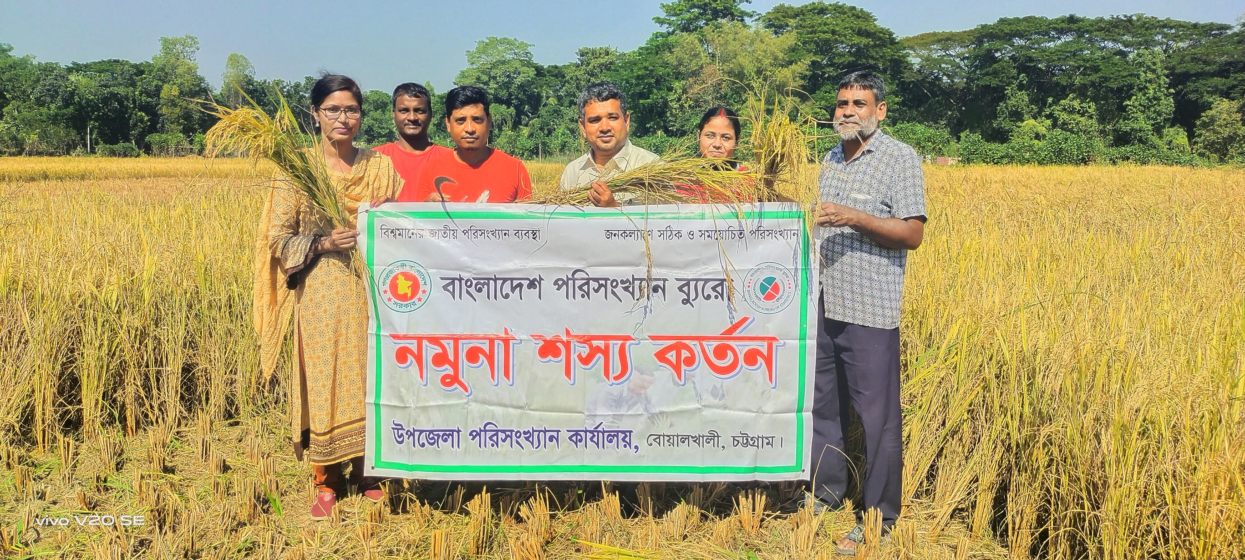 নমুনা শস্য কর্তন