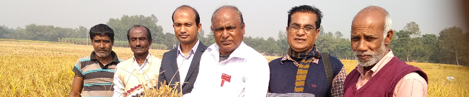 নমুনা ফসল কর্তন