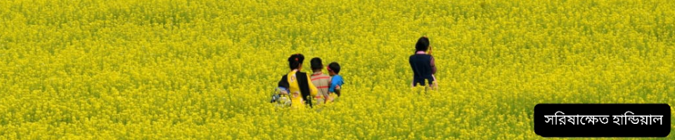 ব্যানার, সরিষা ক্ষেত