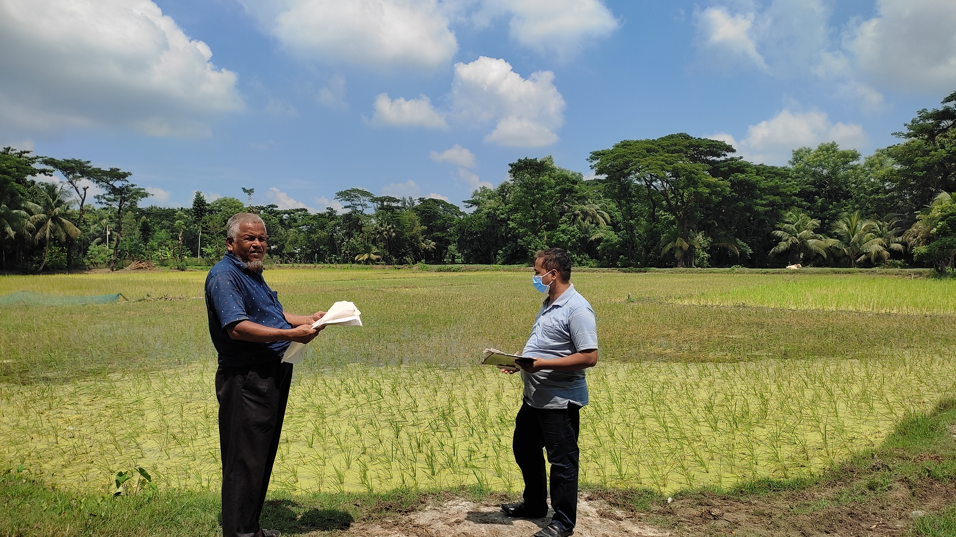 দাগগুুচ্ছ জরিপ