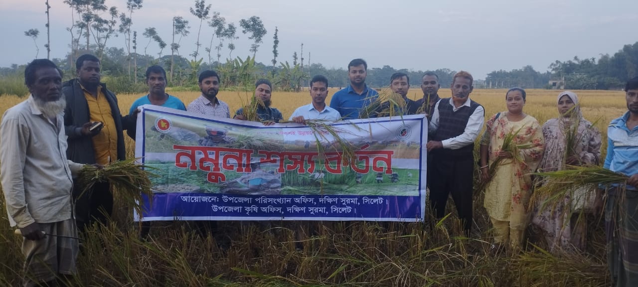 নমুনা ফসল কর্তন