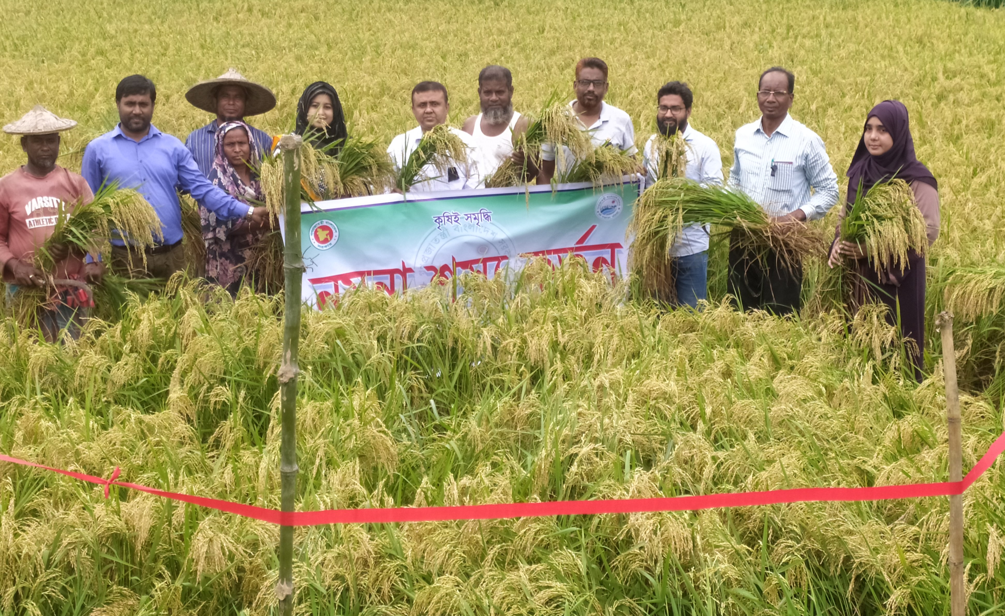 নমুনা ফসল কর্তন