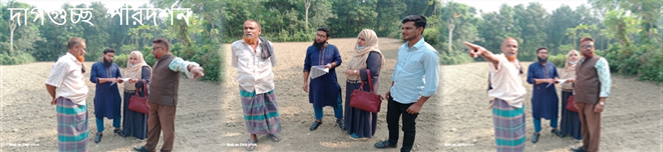 দাগগুচ্ছ জরিপ