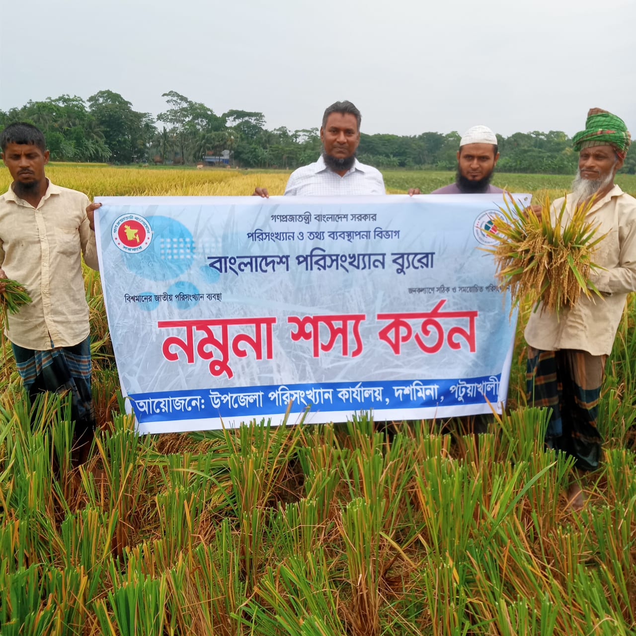 নমুনা শস্য কর্তন