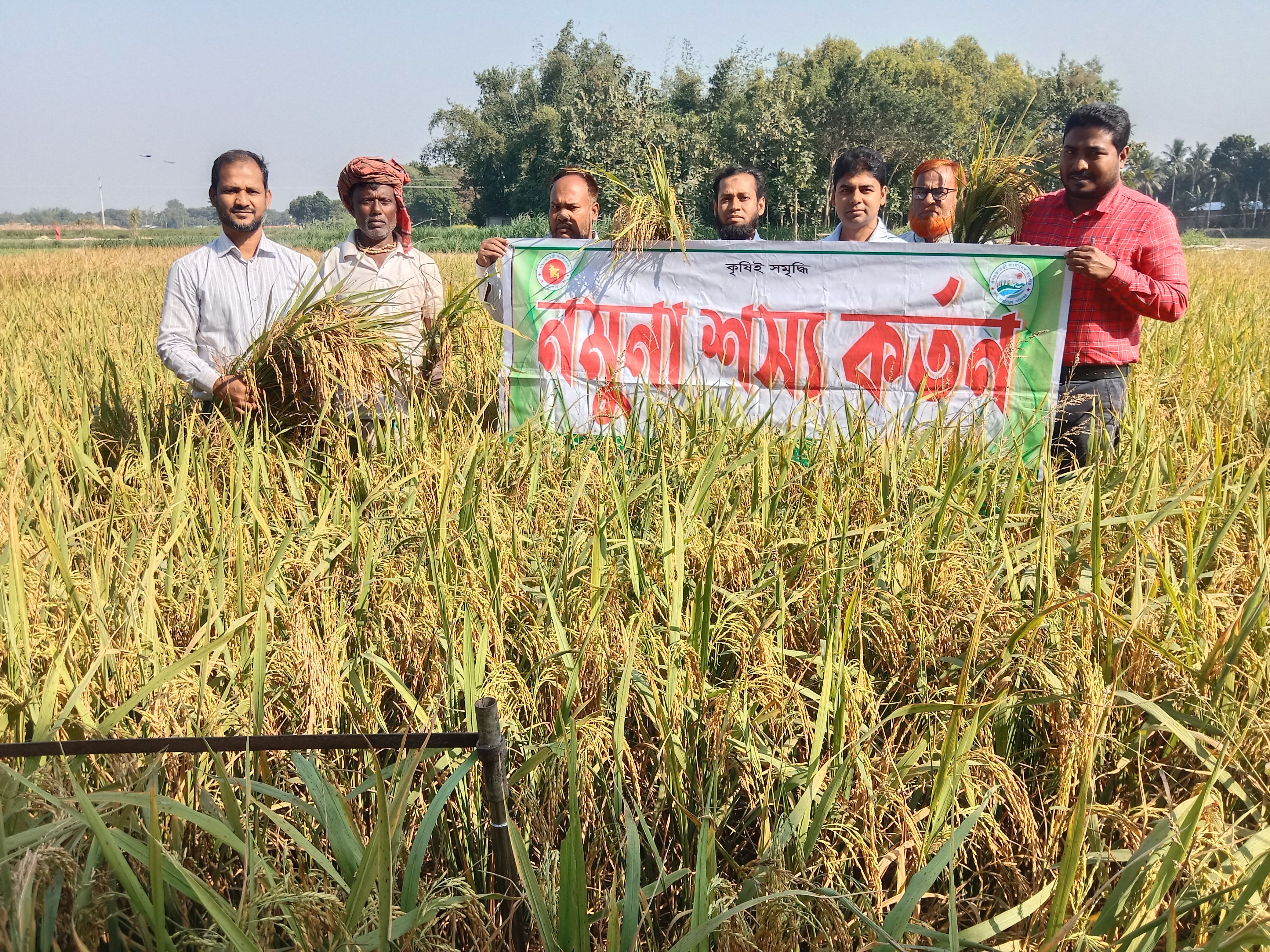 বোরো ফসল নমুনা কর্তন
