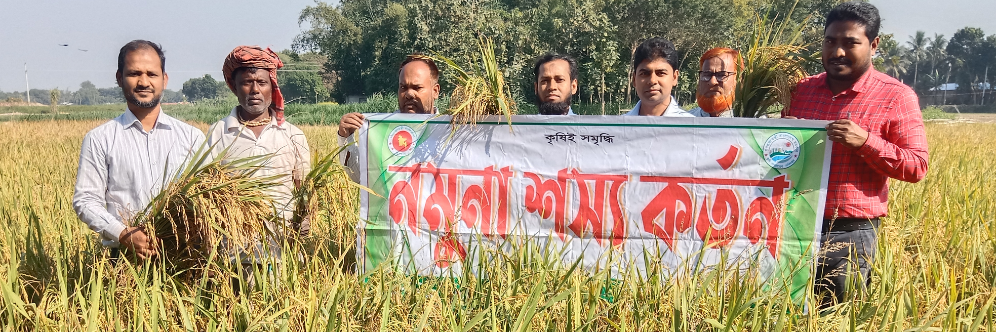 নমুনা শস্য কর্তন