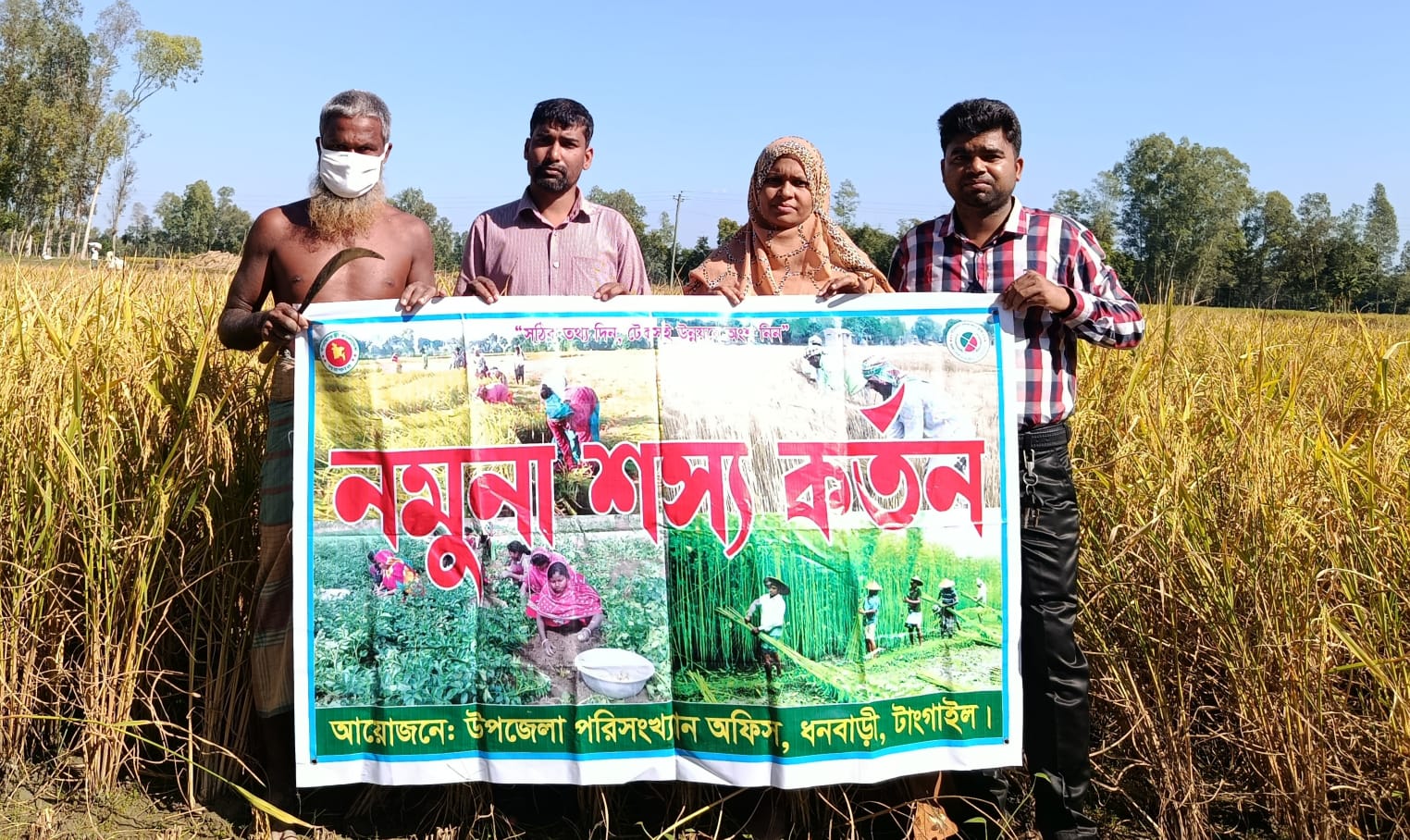 নমুনা শস্য কর্তন