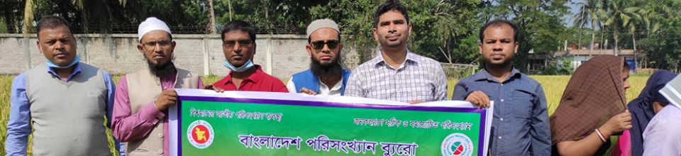 নমুনা ফসল কর্তন
