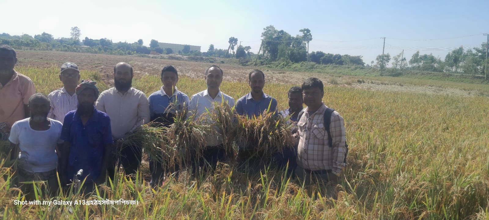 ডিডি স্যারের নেতৃত্বে সদর উপজেলায় আমন ধান কাটিং ২০২৫