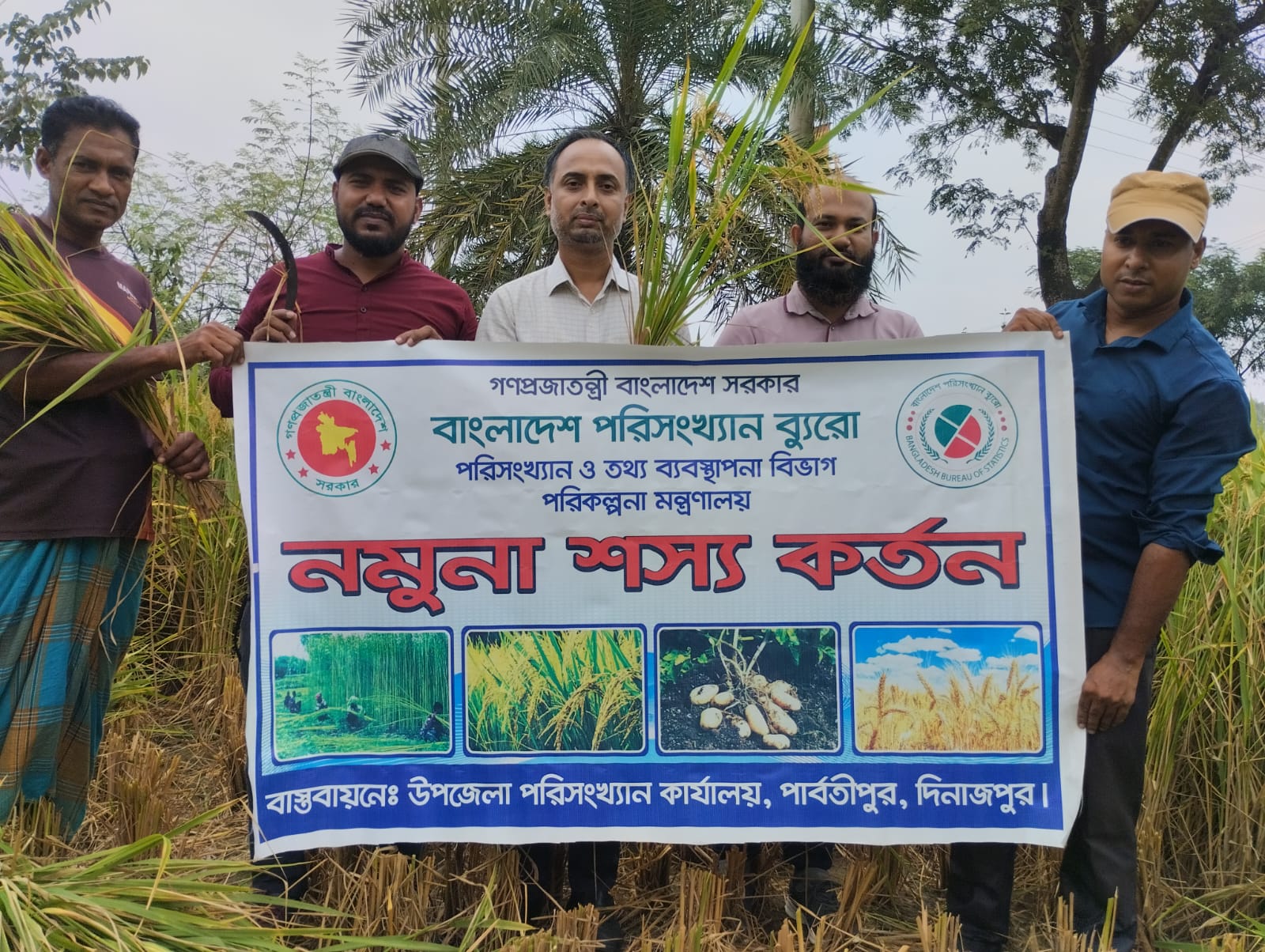 'পার্বতীপুর উপজেলায় আমন ধান কর্তন-২০২৫'