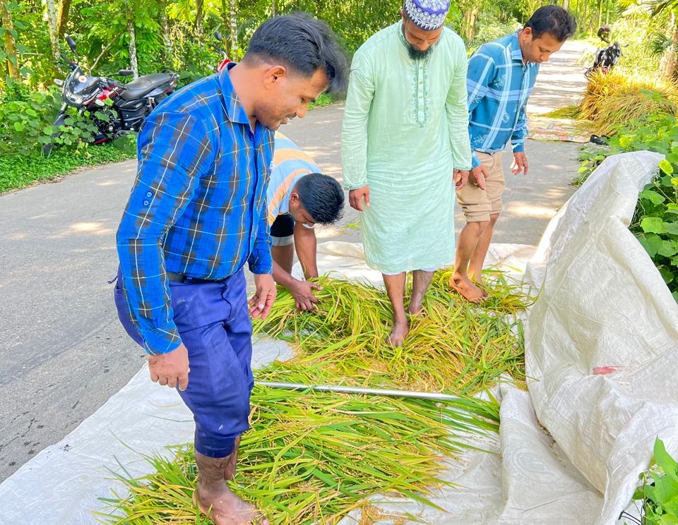 আউশ কতর্ণ
