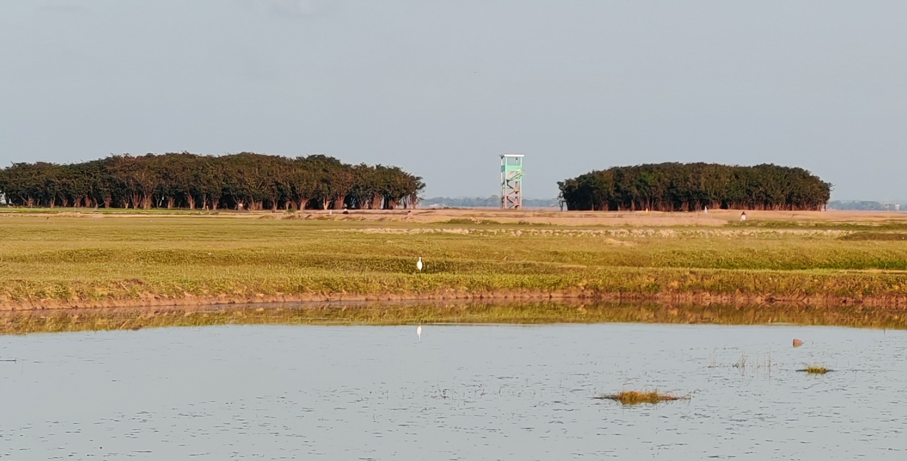 হাকালুকি হাওর-ফেঞ্চুগঞ্জ