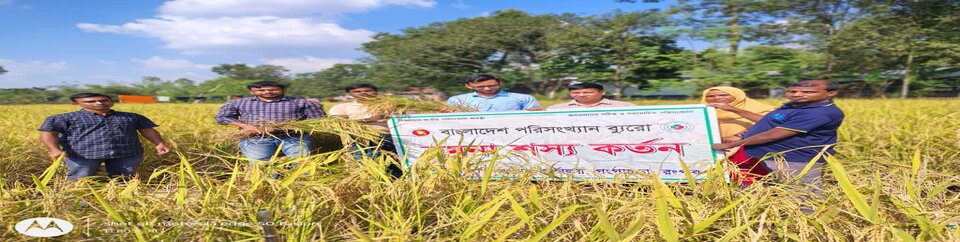 আমন ফসলের নমুনা কর্তন (তফসিল-২)