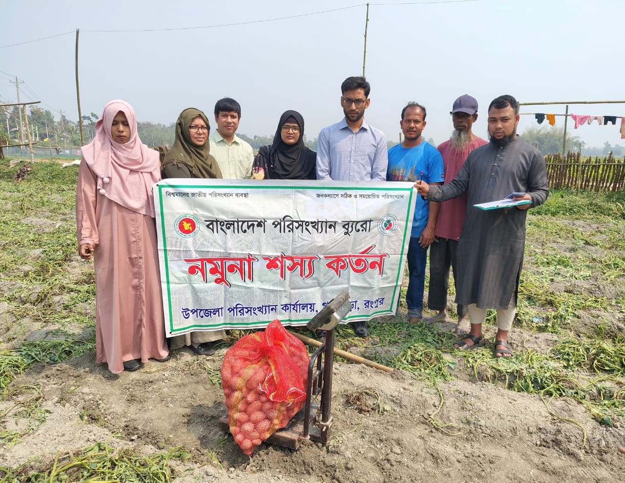 আলু ফসলের নমুনা কর্তন