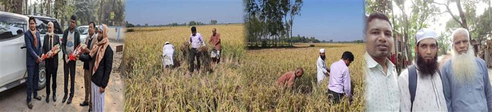উপজেলা পরিসংখ্যান অফিস, হাতীবান্ধা, লালমনিরহাট।