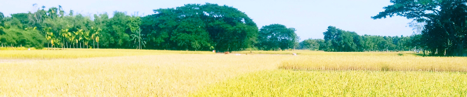 উপজেলা পরিসংখ্যান কার্যালয় ঈশ্বরগঞ্জ, ময়মনসিংহ ।